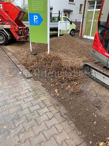 kunstrasen-business-01