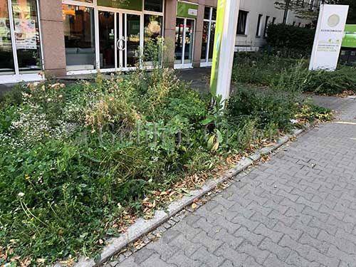 kunstrasen-business-04