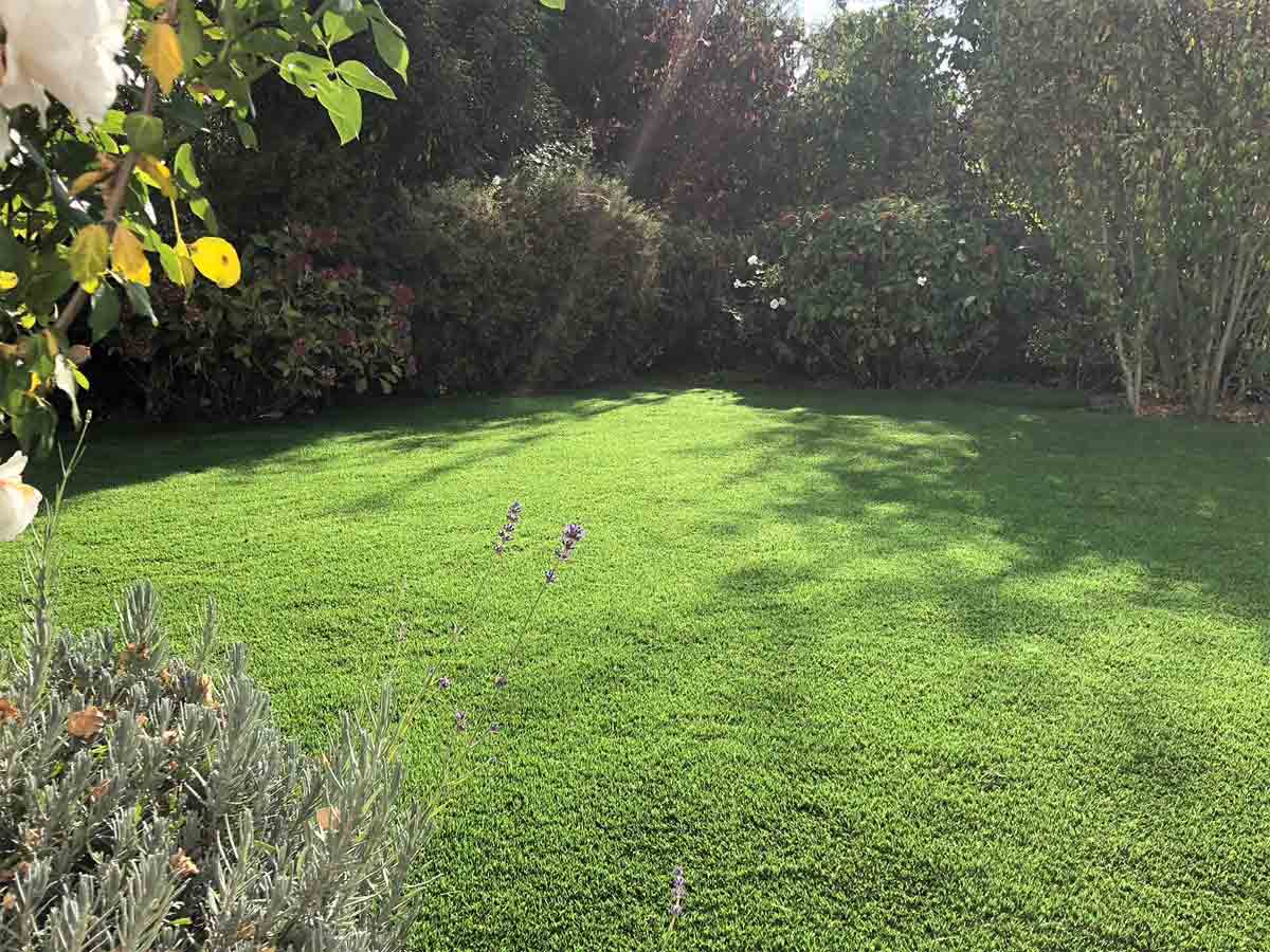 kunstrasen garten wiese