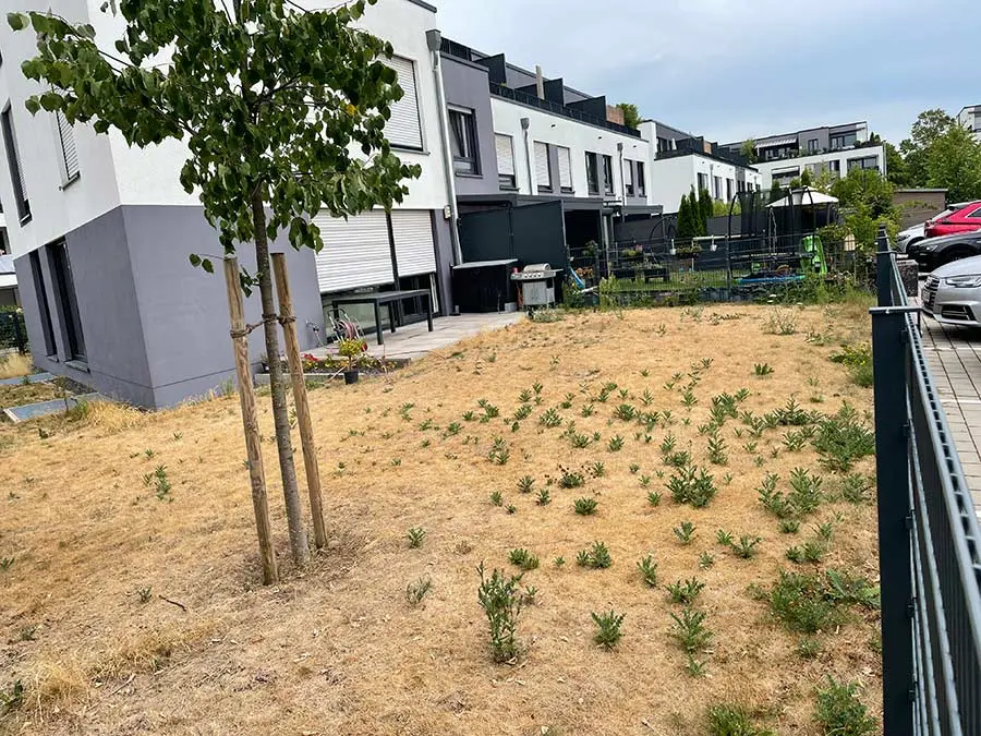 kunstrasen-garten-ks-v2