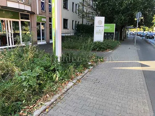 kunstrasen-public-03