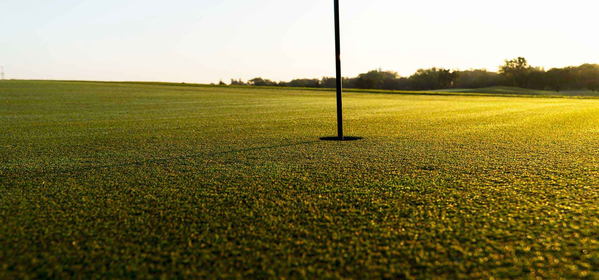 kunstrasen putting green hero