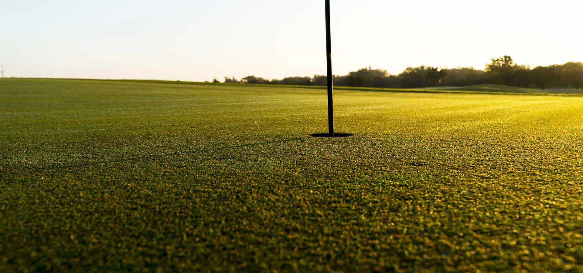 Kunstrasen Putting Green Hero