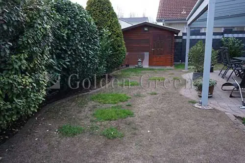Kunstrasen Trockengebiete 03