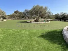 mutter-aller-putting-greens-21-f